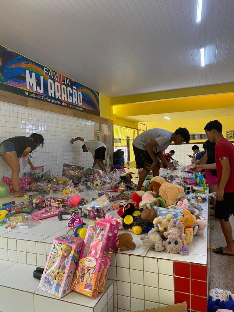 Brinquedos organizados para doação